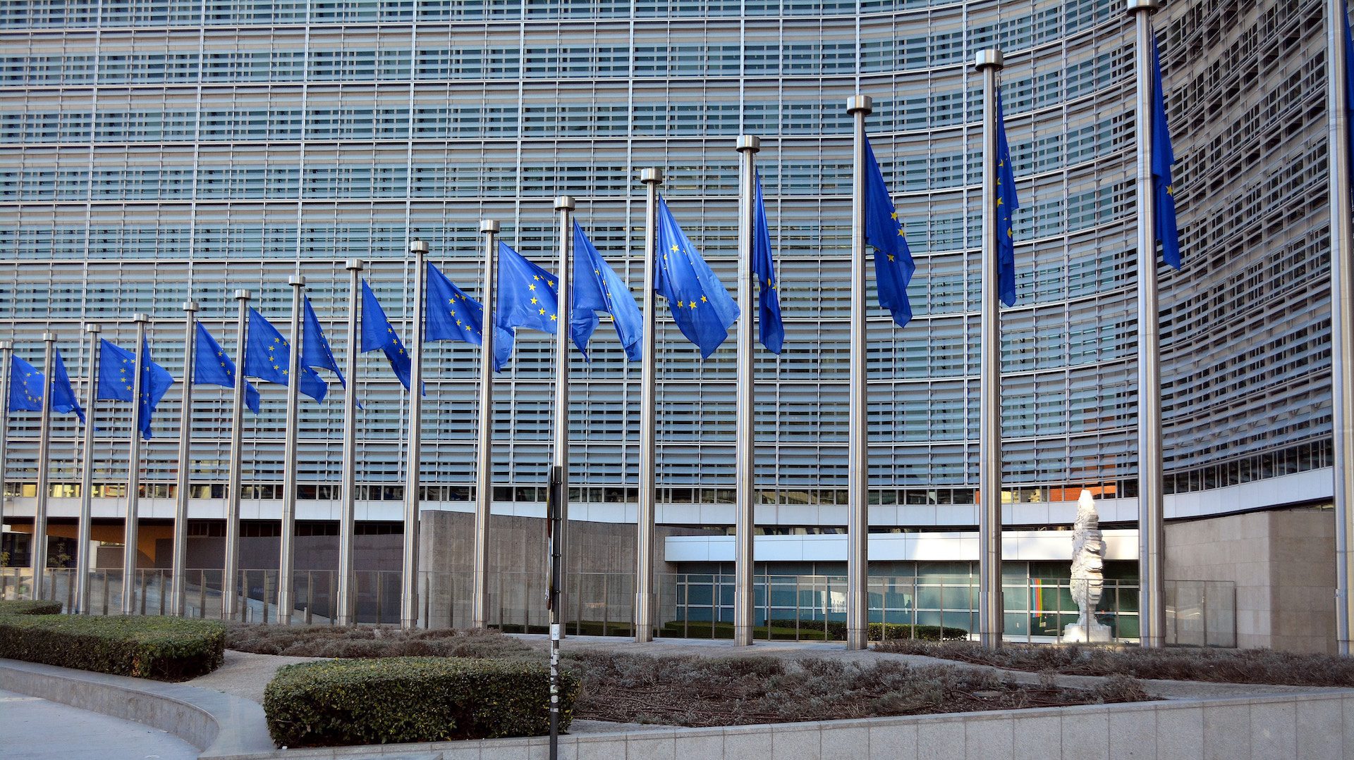 European flags in front of building