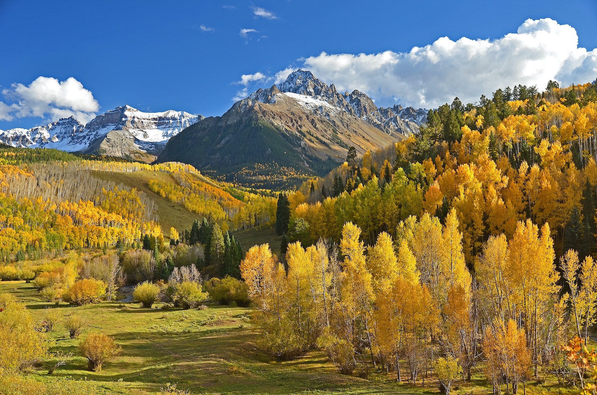 grass with yellow and green trees and mountains and hills in the background