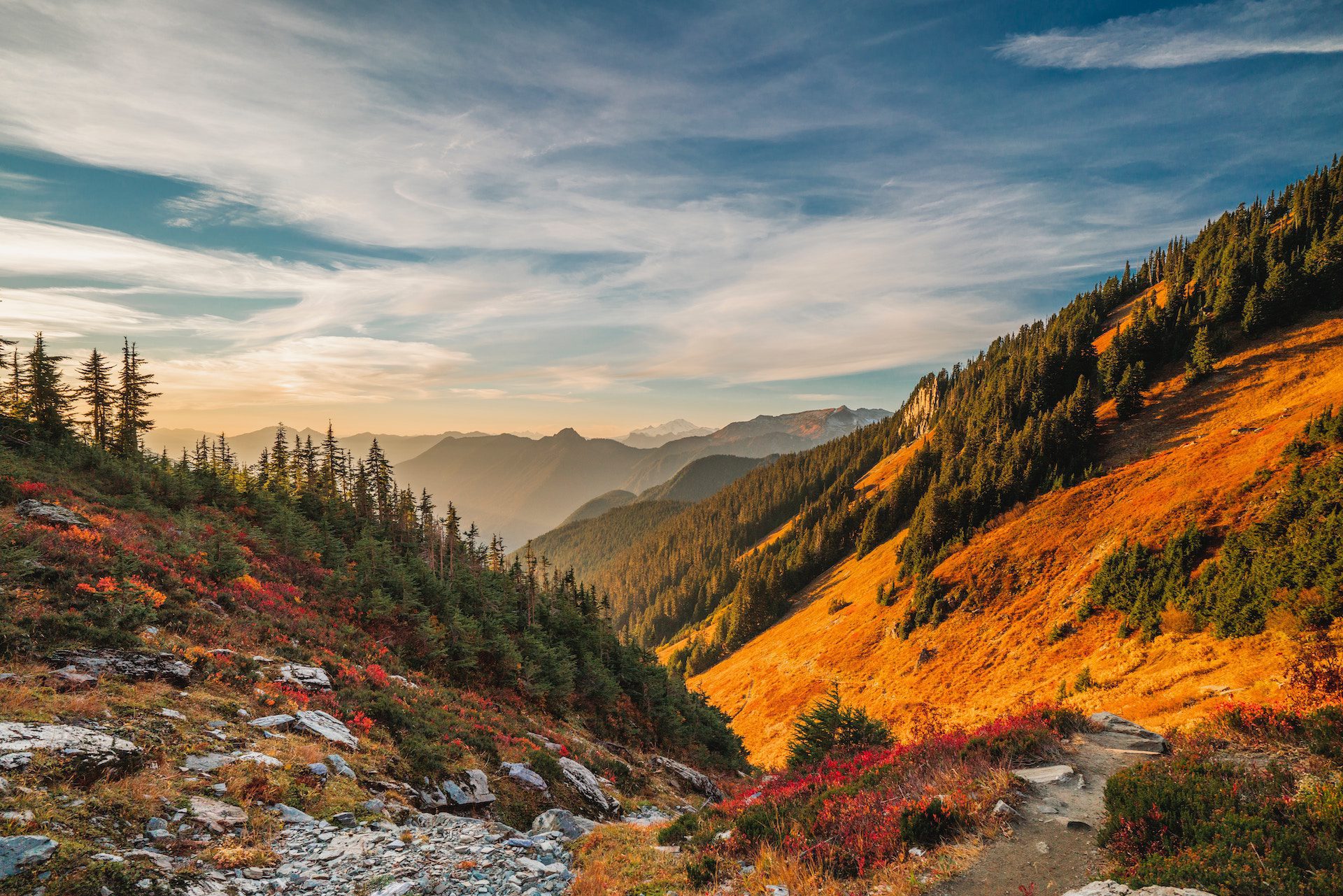 mountains and trees with a blue sky