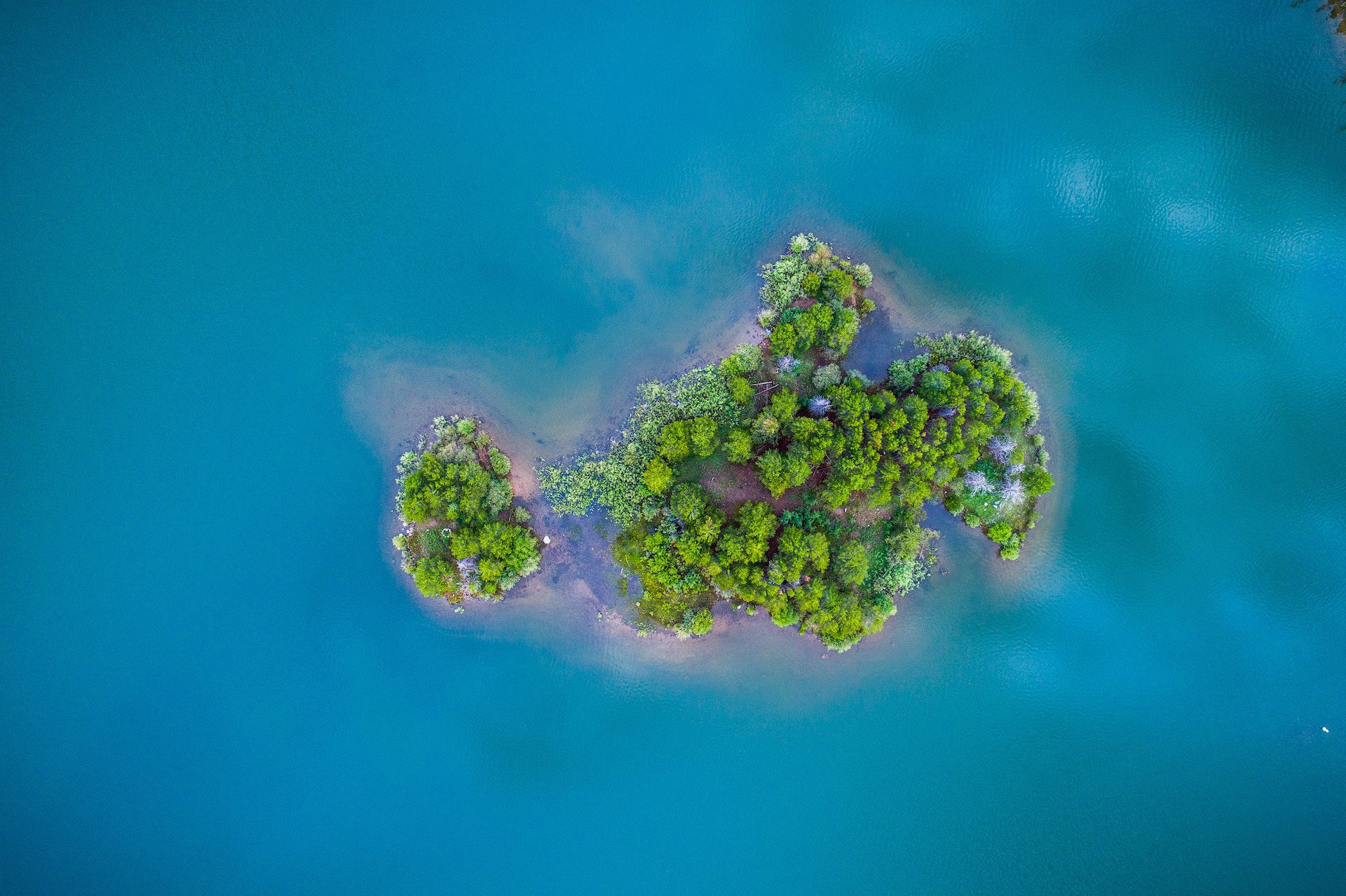 ocean with an island of trees in the middle