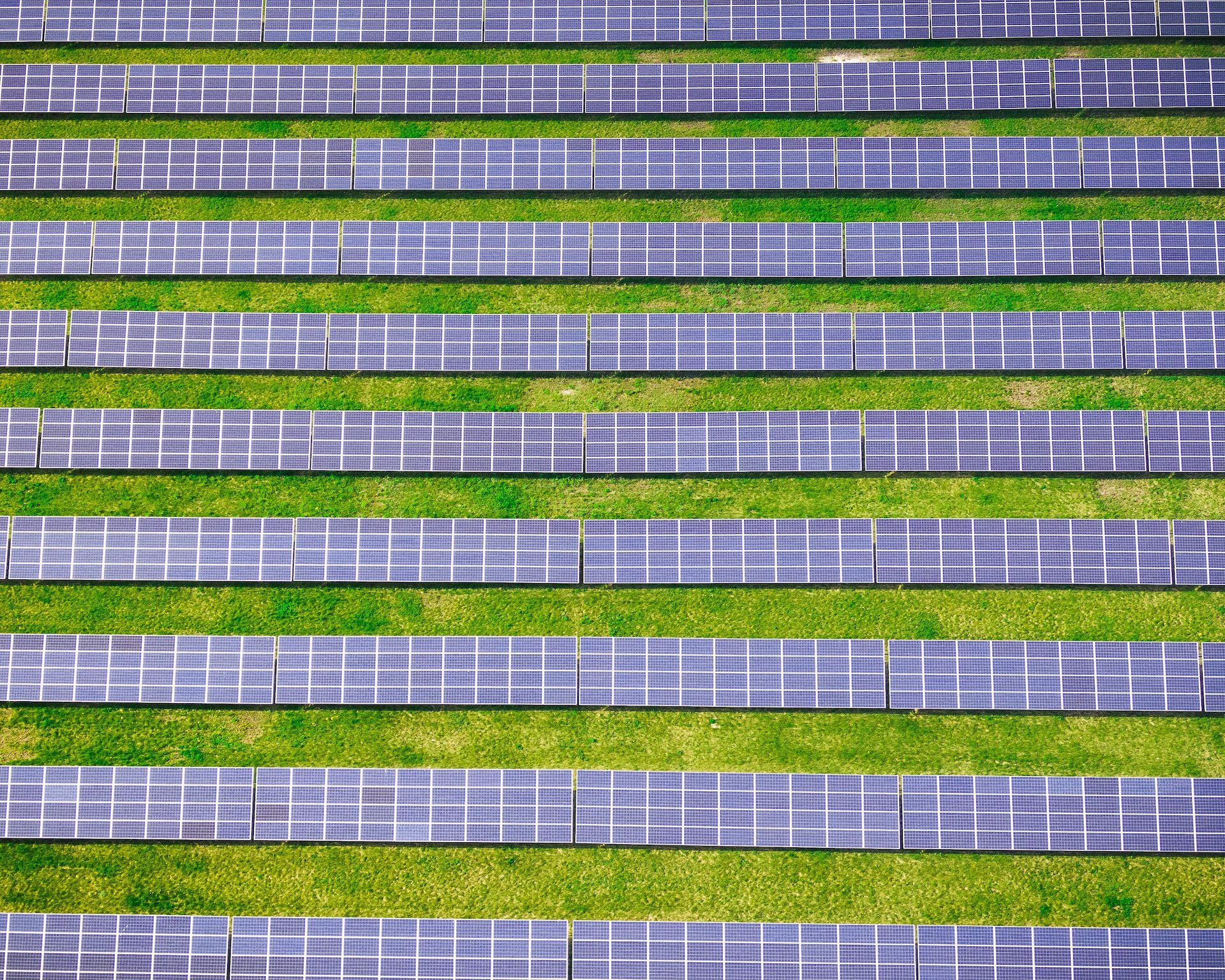 rows of solar panels and grass