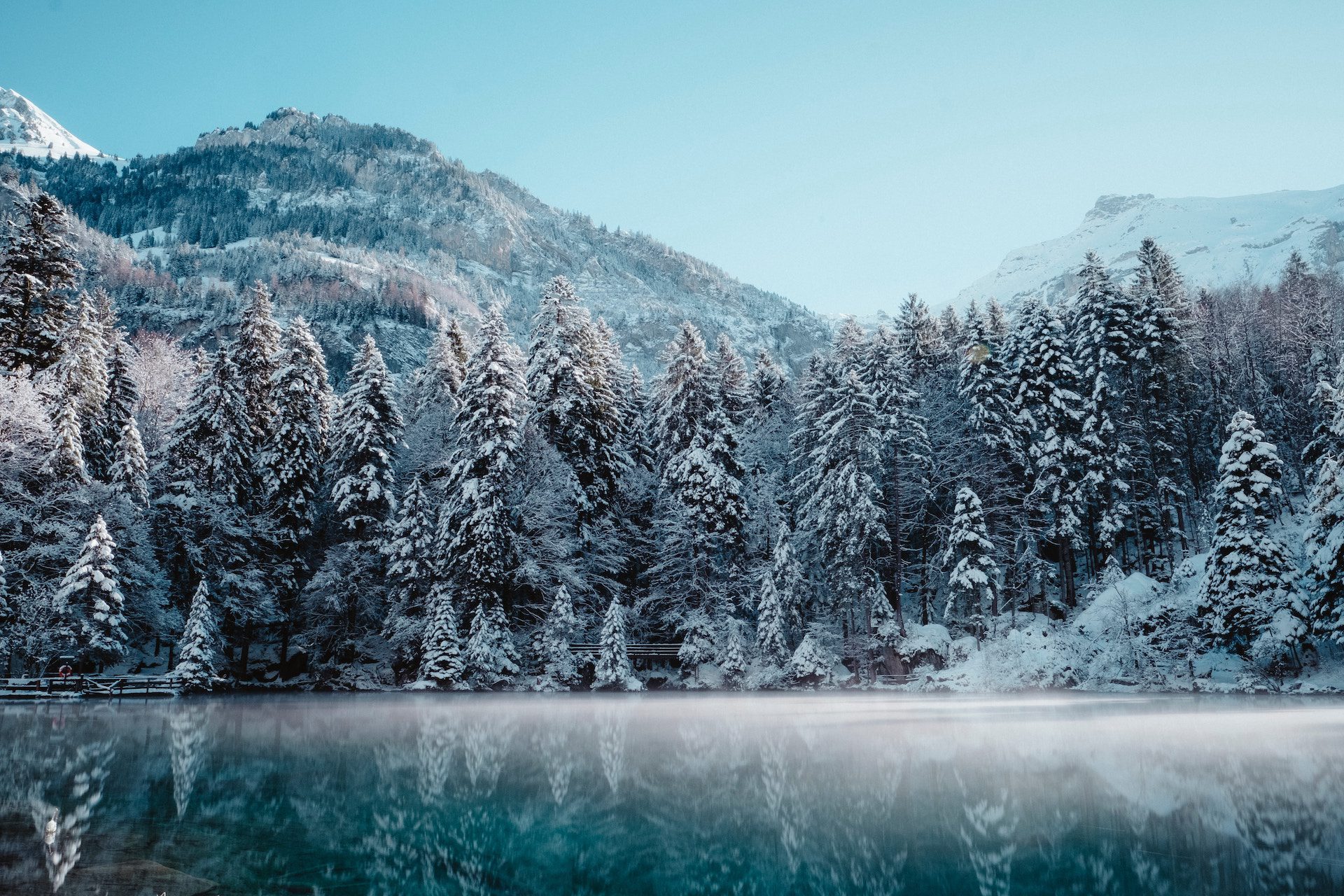 rows of snowy trees reflected in the lake with snowy mountains in the background