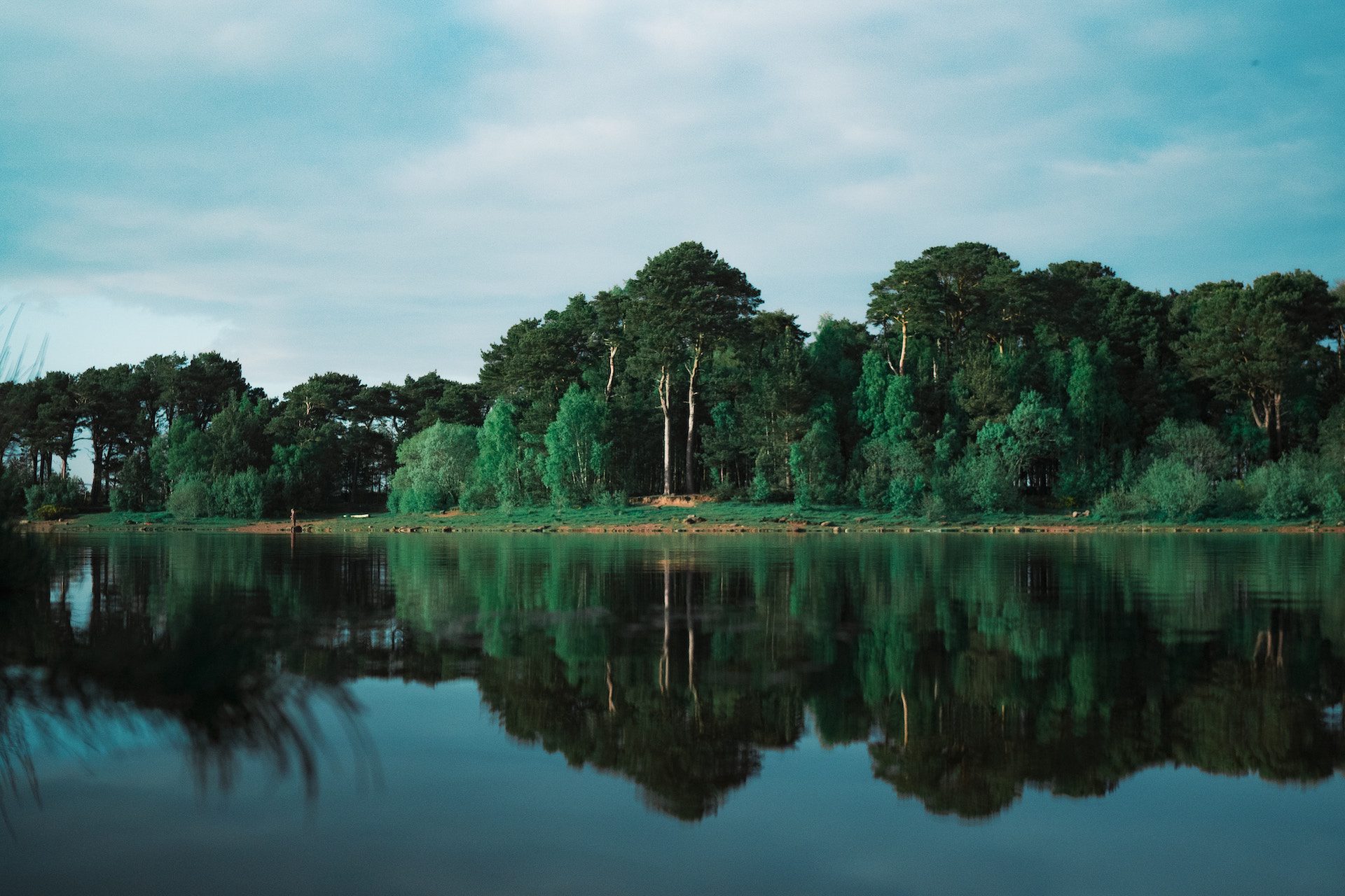 lake with green trees and reflected in the water
