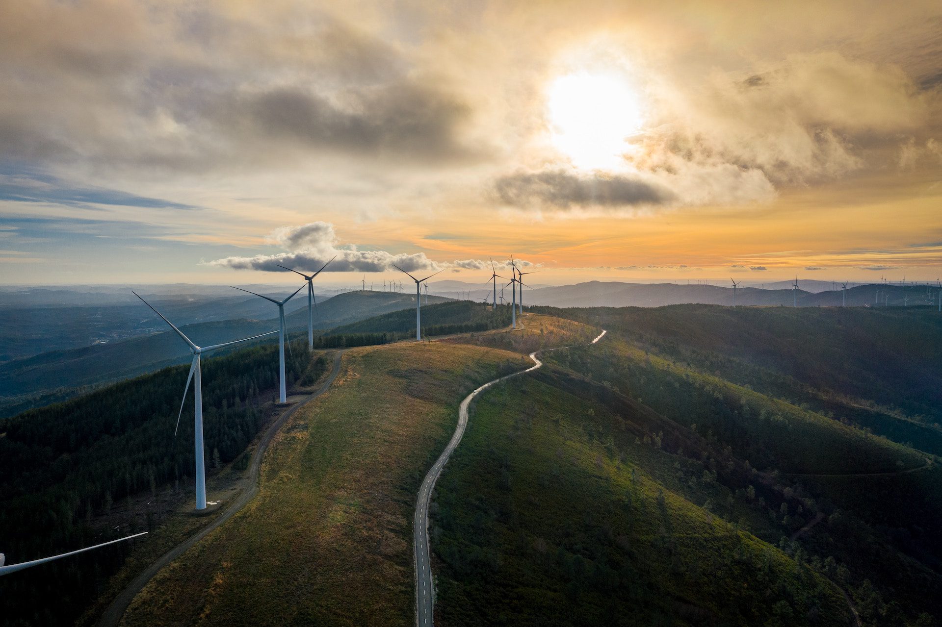 wind turbines in a wind field