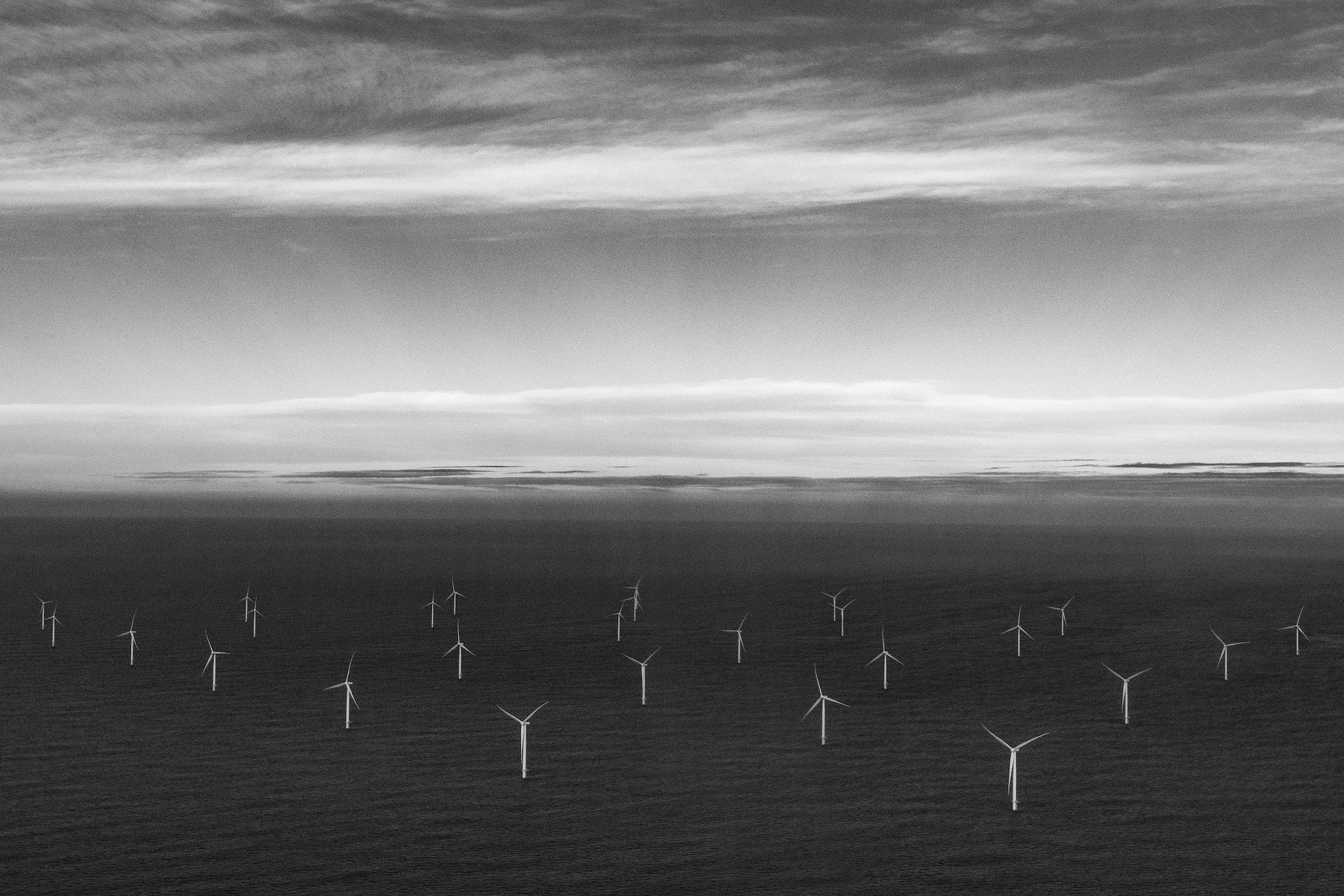 wind turbines in a wind field