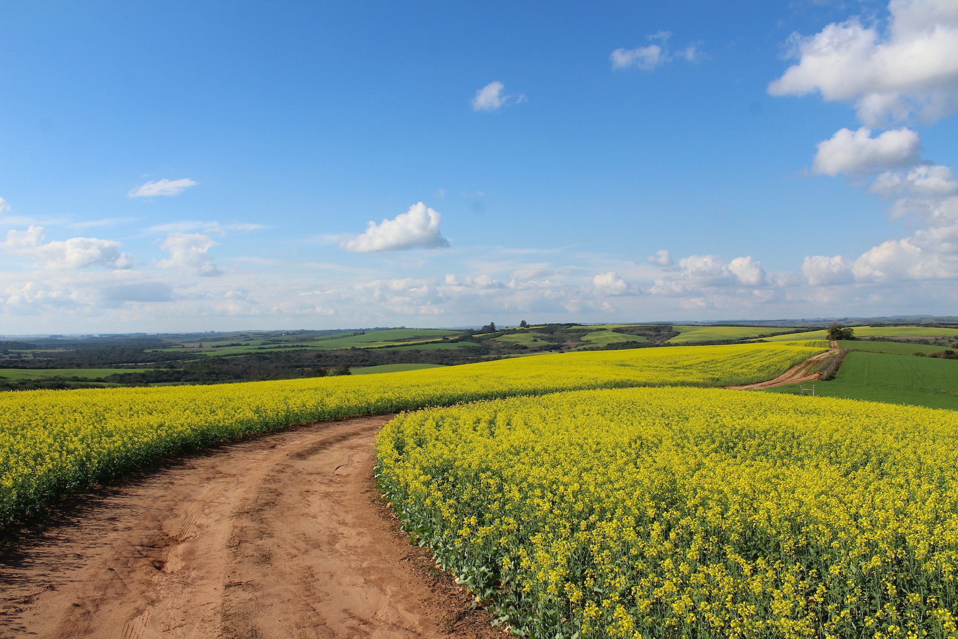 path with green fields either side and blue sky with clouds in the background