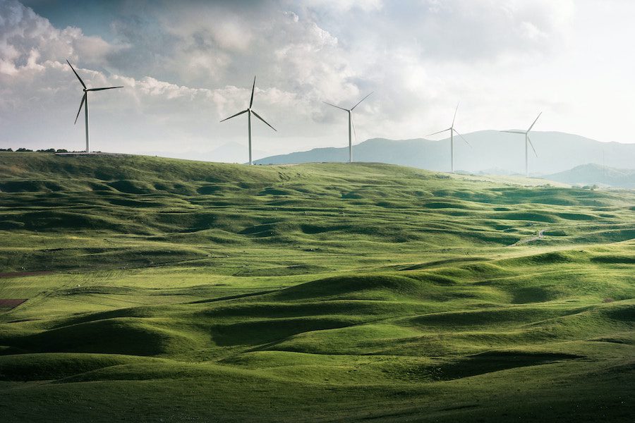 wind turbines in a wind field